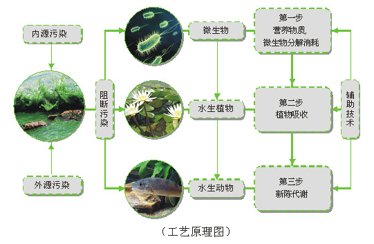 人工濕地污水處理技術的優點與缺點